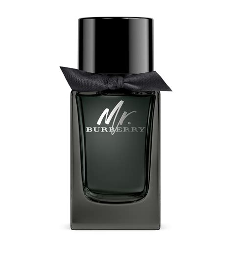 mr burberry eau de parfum 100ml|mr burberry indigo 100ml.